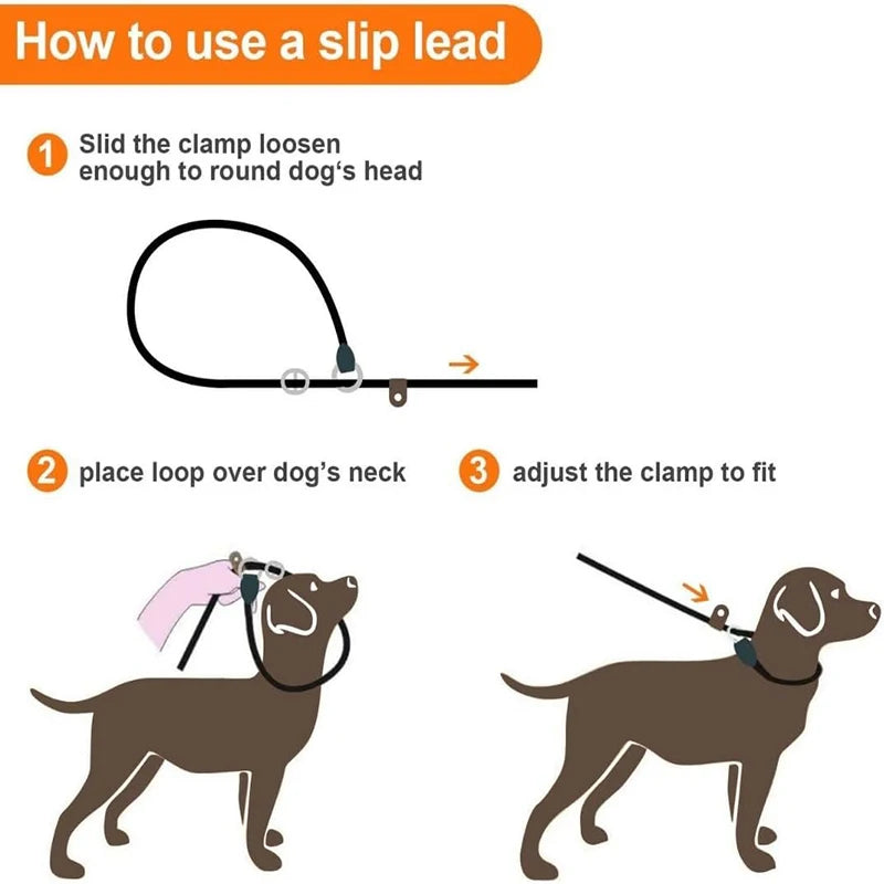 How to use a slip lead: 1. Loosen clamp, 2. Place loop over neck, 3. Adjust clamp for perfect fit.