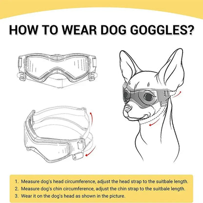 Adjustable dog sunglasses for small breeds, showing how to wear dog goggles with UV protection and secure fit