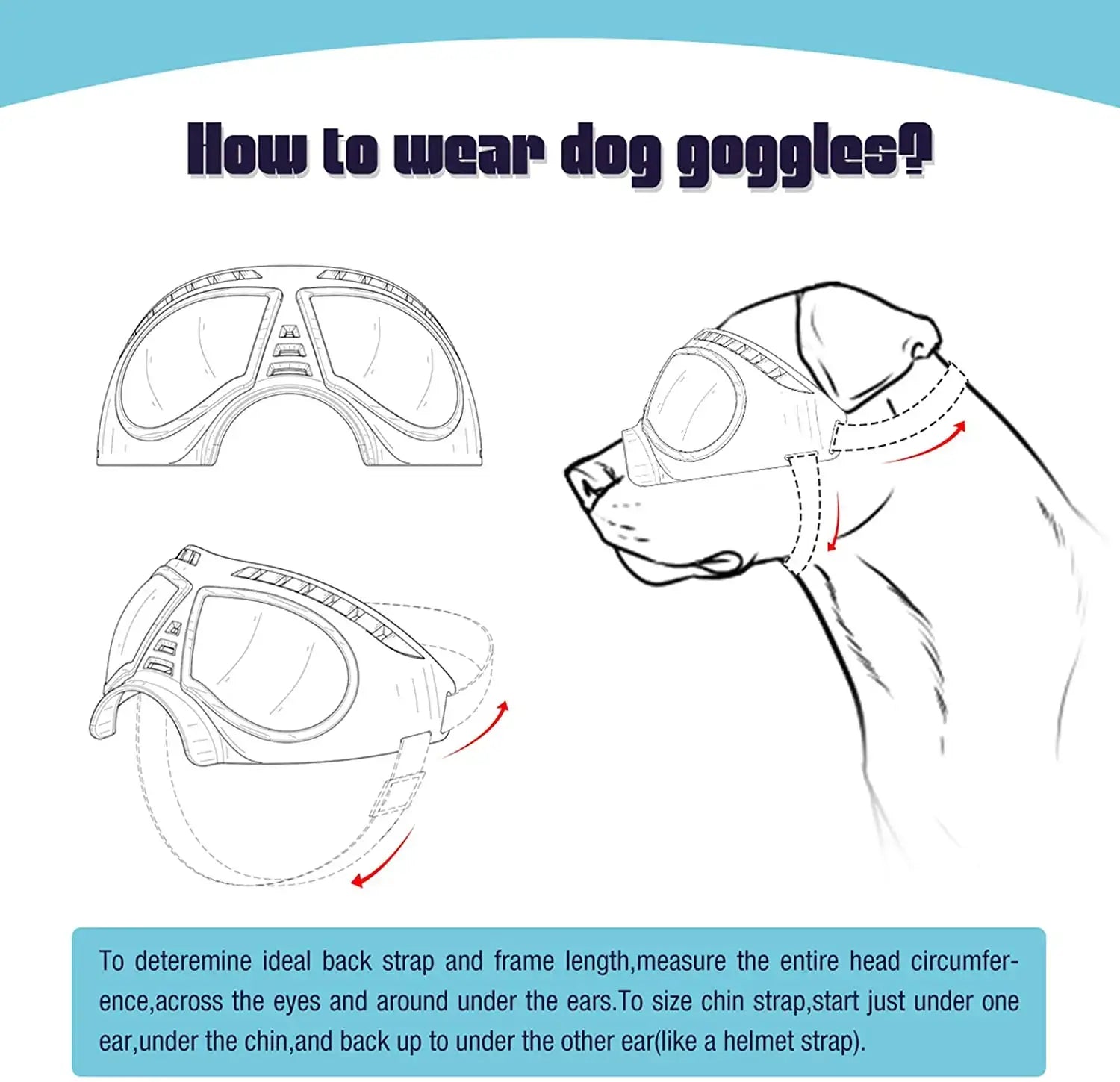 How to wear dog goggles guide for fitting dog sunglasses with UV protection on small, medium, and large dogs