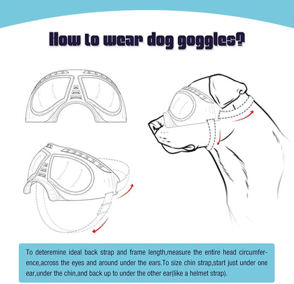 How to wear dog goggles guide for fitting dog sunglasses with UV protection on small, medium, and large dogs