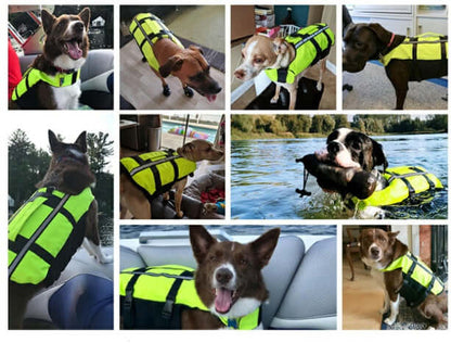 Dogs wearing a dog swimming pool life preserver vest in various settings, showcasing safety and comfort in water.