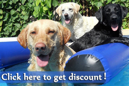 Inflatable Floating Dock Summer Dog Water Pools Platform Docks Swimming Equipment with happy dogs enjoying in pool