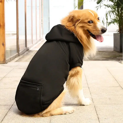 Golden Retriever wearing a black large dog hoodie with pockets, hood, and zip pocket for spring and autumn pet comfort
