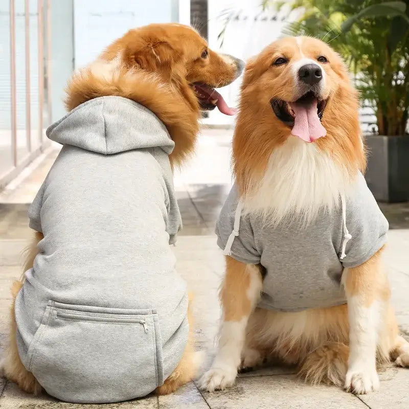 Two large dogs wearing a large dog hoodie with pockets, gray fleece hooded pet sweatshirt for spring and autumn.