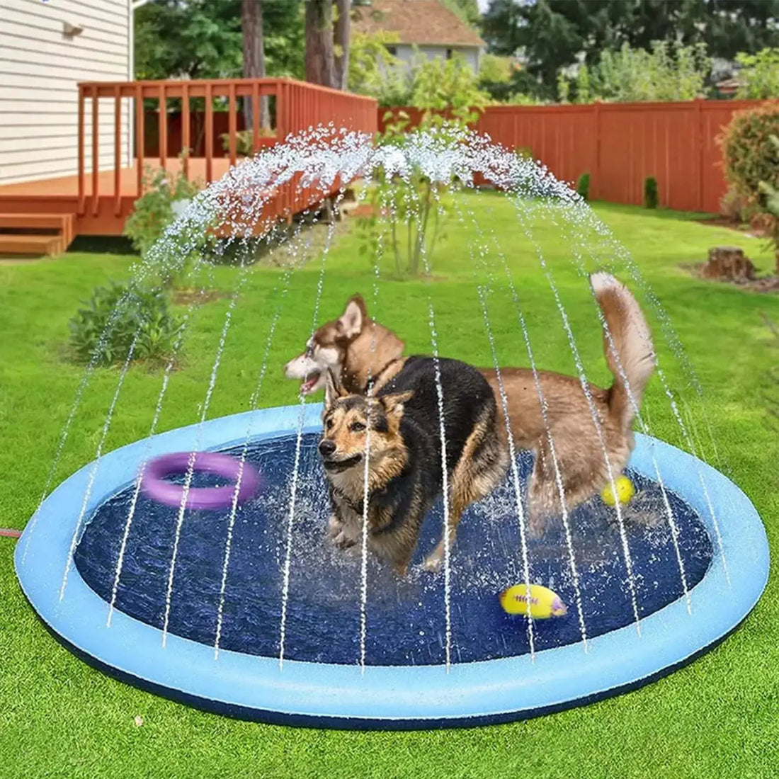 Large inflatable dog pool with two dogs playing under fountains in a garden setting.