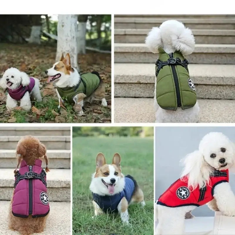 waterproof dog winter jacket with harness for small and large dogs, warm winter pet coat