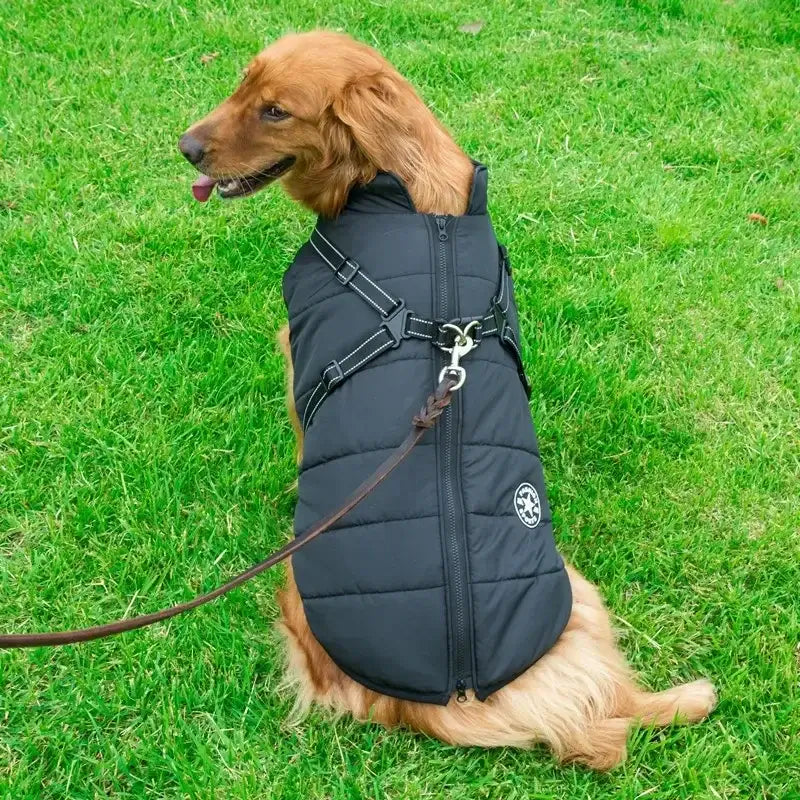 waterproof dog winter jacket with harness black warm dog coat for large breeds on grass