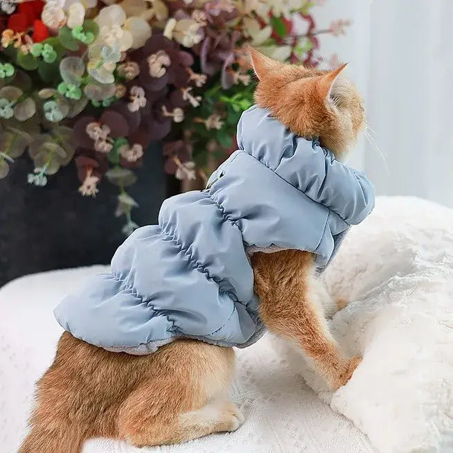 cotton dog jacket for medium-sized dogs, warm padded pet clothes for autumn and winter comfort