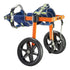 Medium dog wheelchair for back legs featuring a lightweight orange frame with adjustable straps and shock-absorbing wheels.