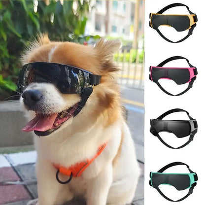Dog wearing dog UV protection sunglasses with windproof UV shield for outdoor sun protection and stylish pet safety
