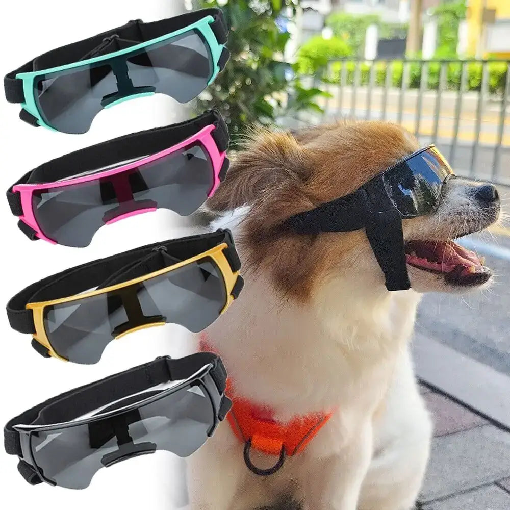 Dog UV protection sunglasses for pets, multicolor windproof sun protection goggles for outdoor dog wear
