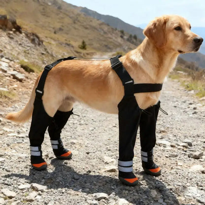 waterproof dog boots on a golden retriever hiking on rocky terrain, non-slip protective footwear for outdoor adventures