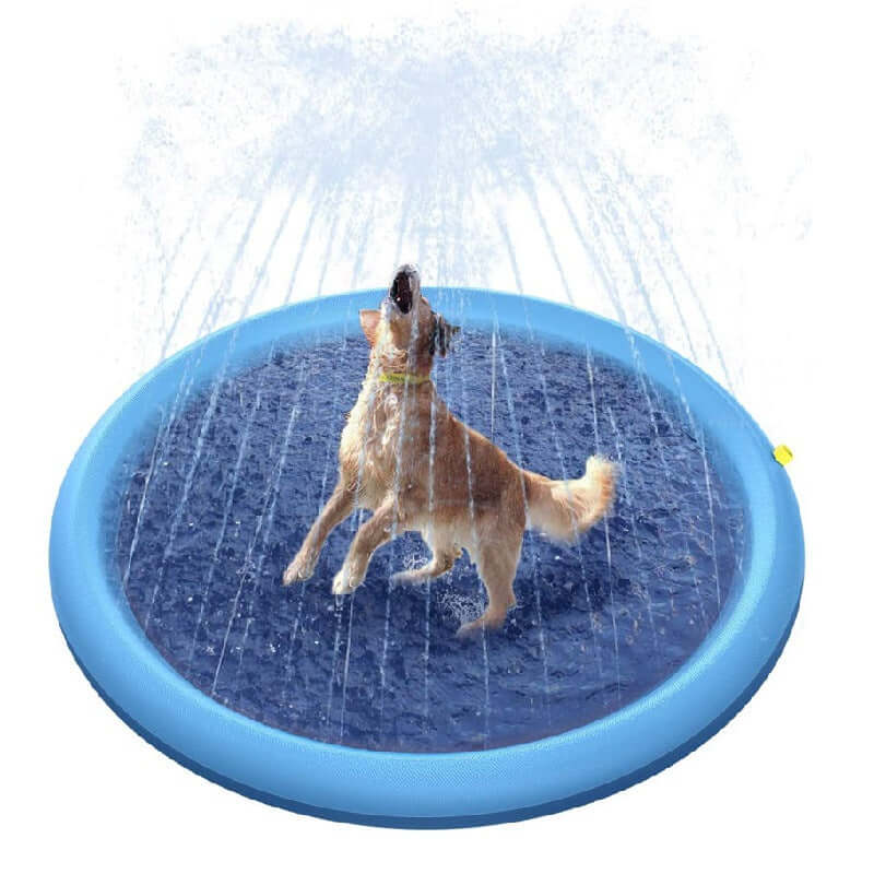 A happy dog playing in a non-slip splash pad for kids and pets, enjoying summer water fun in the backyard.