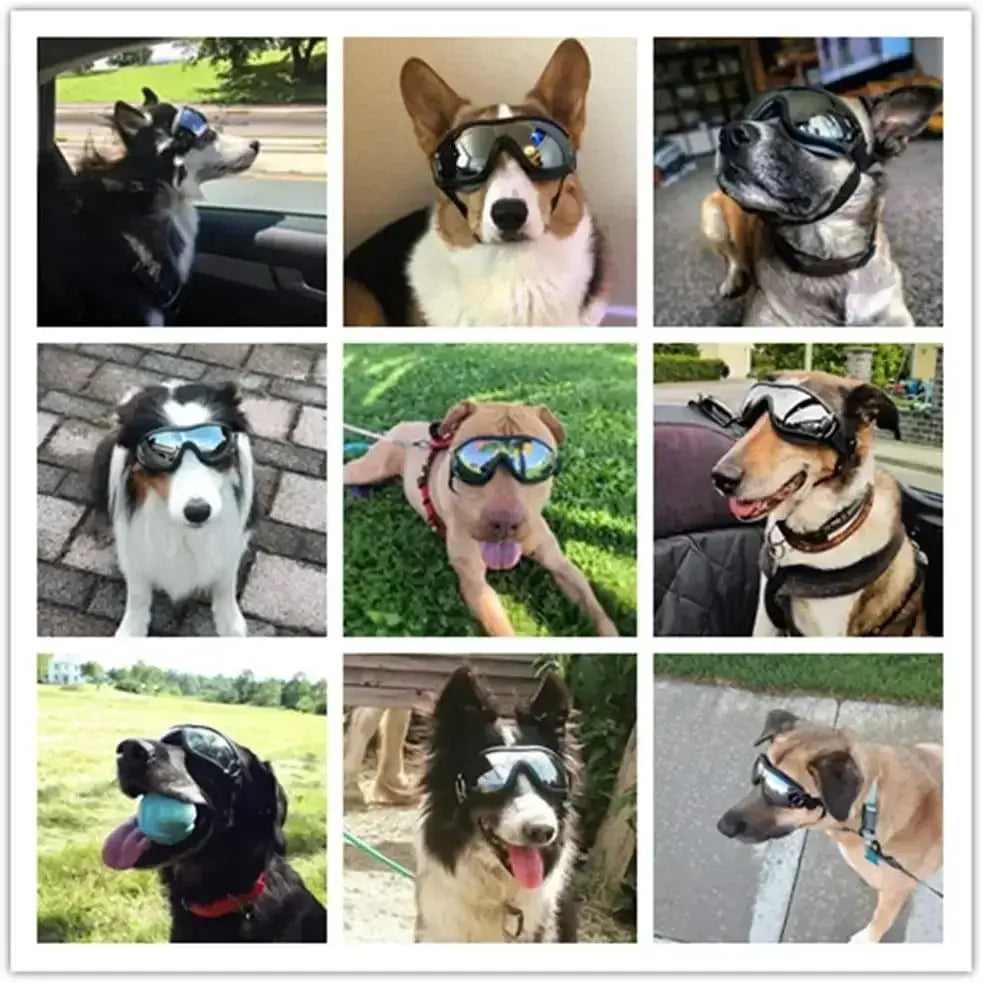 dog sunglasses for large dogs with anti-UV eye protection, adjustable black pet goggles