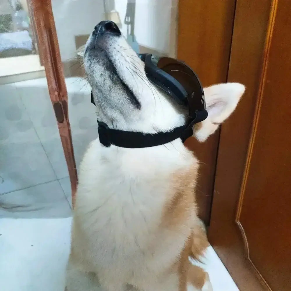dog sunglasses for large dogs, adjustable black anti-UV pet goggles with secure strap and durable PC lenses
