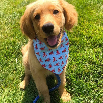 Golden retriever puppy wearing a dog beach bandana on green grass, cute summer pet accessory for outdoor beach walks