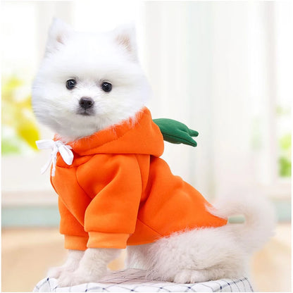 Pet Dog Clothes for Dogs Hoodies Funny Fruit Dog Coat Puppy Pet Clothing for Dogs Costume Chihuahua Yorkshire Ropa Perro