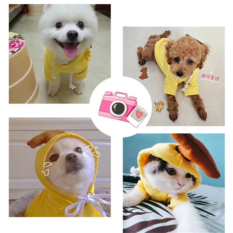 Pet Dog Clothes for Dogs Hoodies Funny Fruit Dog Coat Puppy Pet Clothing for Dogs Costume Chihuahua Yorkshire Ropa Perro