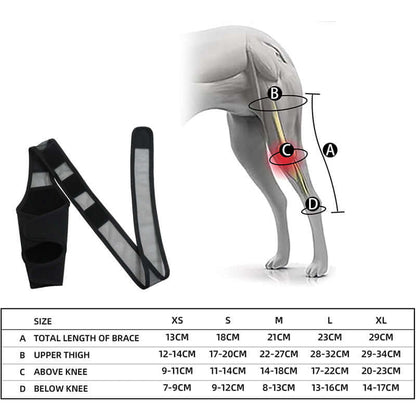 Image of dog leg fracture protective gear, demonstrating sizing options and application for thigh and knee support.