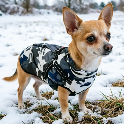 Pet Dog Jacket For Small Medium Dogs Cats Winter Warm Clothes With Harness Chihuahua French Bulldog Pug Outfits Puppy Vest Coats