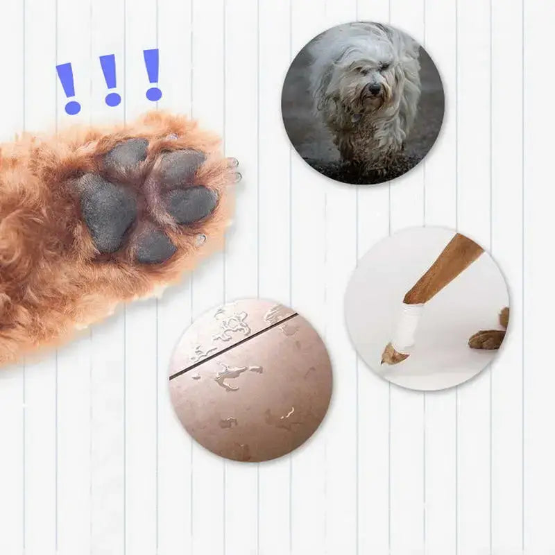Close-up image of a dog&