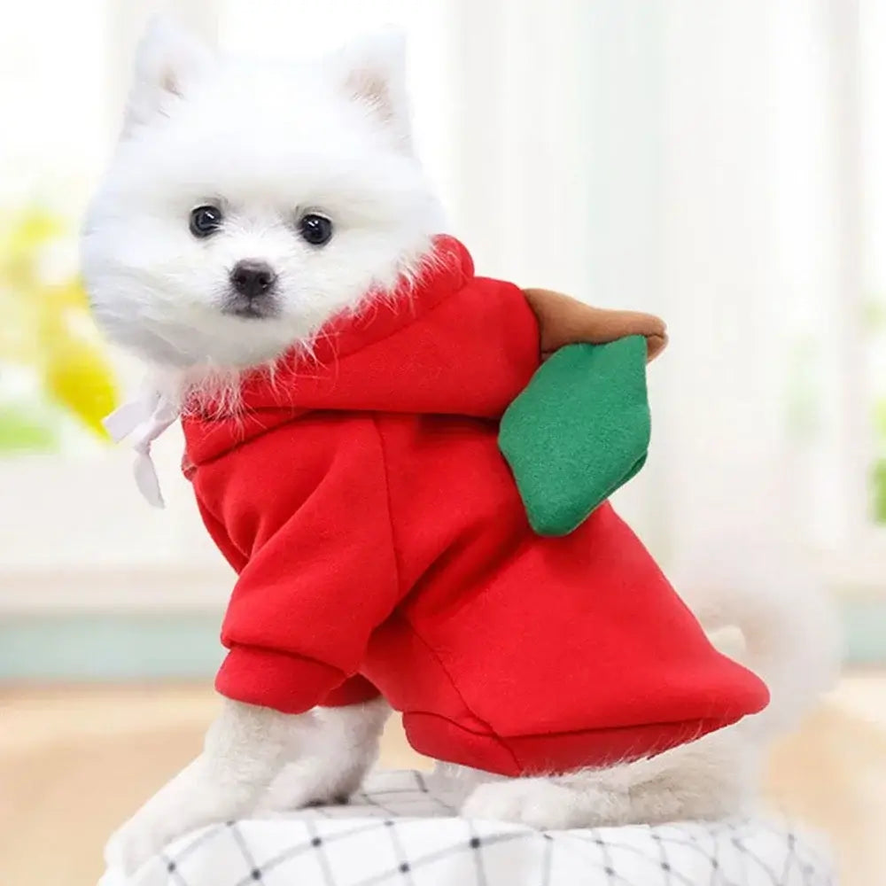 dog winter sweatshirt cute red hooded two-leg pullover for small dogs, warm soft polyester, R color