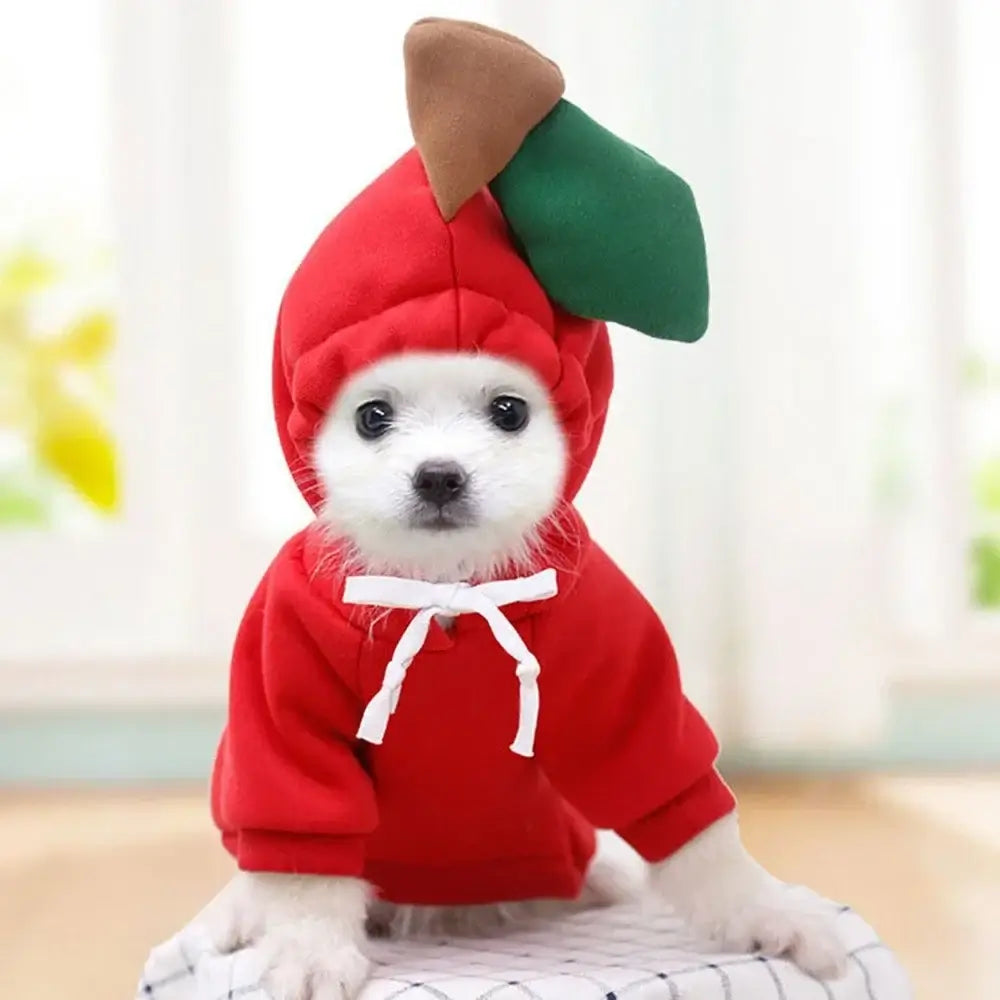 dog winter sweatshirt cute red hooded pullover costume for small, medium, and large dogs, warm soft two-leg fit
