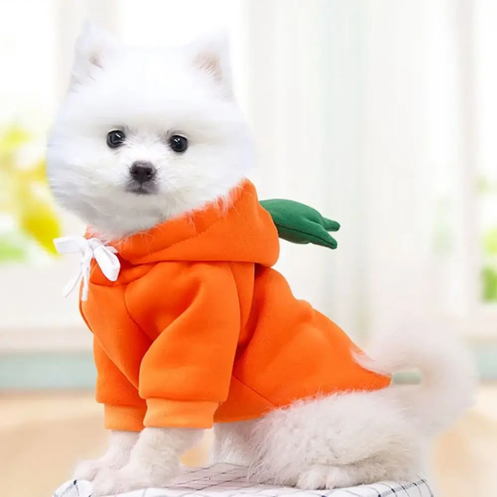 Cute dog winter sweatshirt for small dogs, orange hooded pullover costume with two-leg fit, soft warm autumn/winter pet apparel