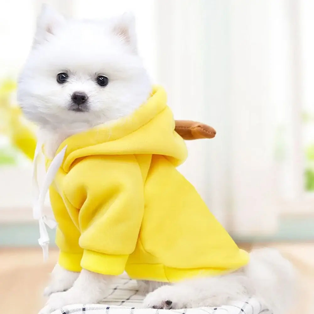 Cute dog winter sweatshirt with hood, yellow two-leg pullover for small to medium dogs, warm soft pet costume