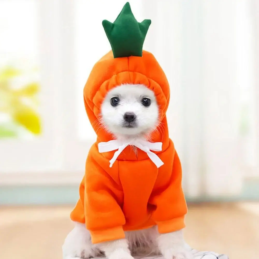 Cute dog winter sweatshirt with pumpkin hood and two-leg fit, warm soft pullover for small and medium dogs