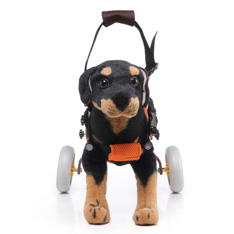 Dog wheelchair scooter for pets, featuring a plush Rottweiler in a support frame with wheels.