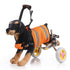 Dog wheelchair scooter for pets in orange, designed for disabled dogs, adjustable and supportive for mobility.