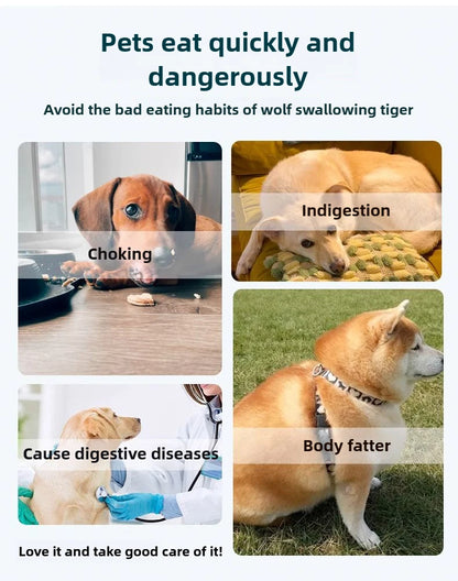 Dog Bowls Slow Feeder Anti-Choking Slow Down Eating Bloat Stop easy to clean Puzzle Dog Food Bowl Anti-Slip Interactive Feeding image showing dangers of fast eating.