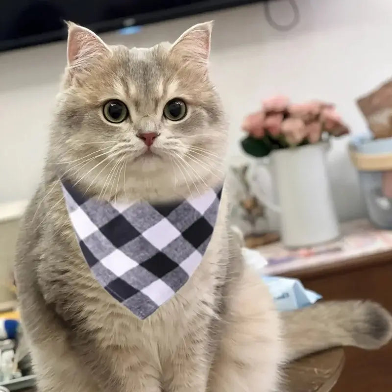 cotton dog bandana plaid pet scarf on a cat, soft washable triangular bib with bow tie style