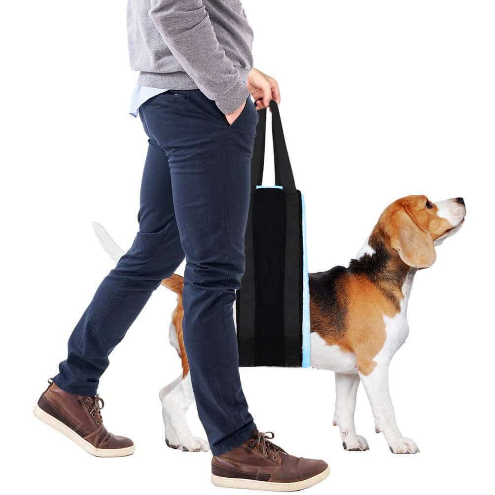 Portable dog sling for back legs providing support to help lift the rear of a canine during walks and rehabilitation.