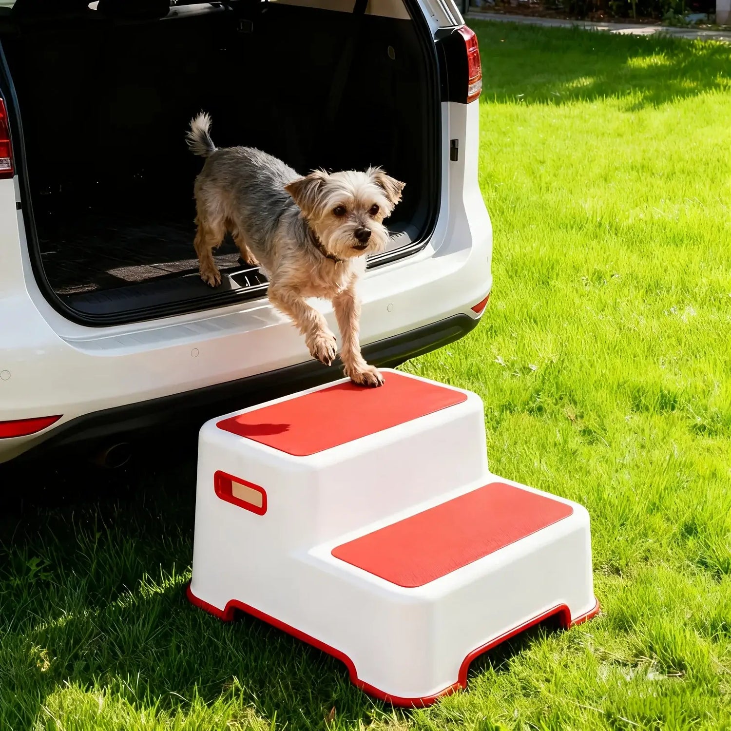 Portable dog stairs for small breeds, helping a dog safely access a vehicle with confidence.