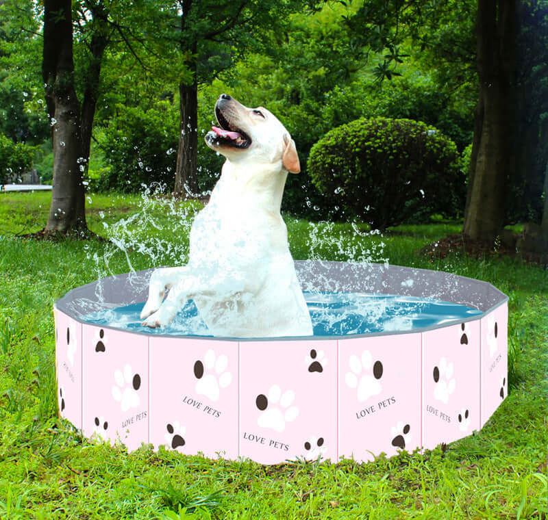 Dog enjoying a splash in a portable dog swimming pool tub surrounded by greenery and trees.