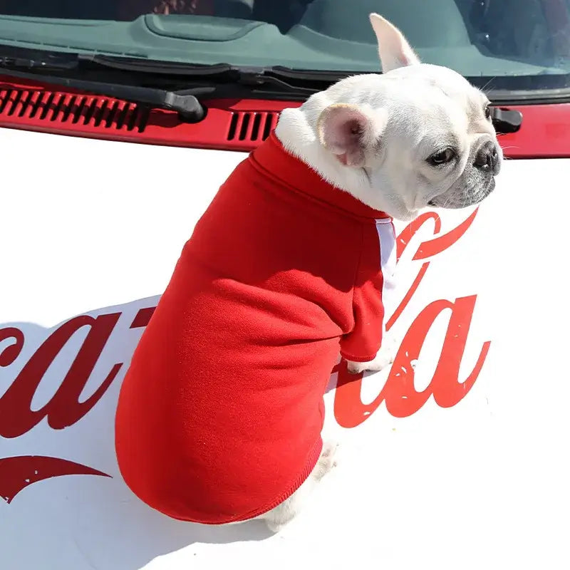 Baseball dog jacket for small dogs, red winter sweatshirt for French Bulldog, Chihuahua, and Pug
