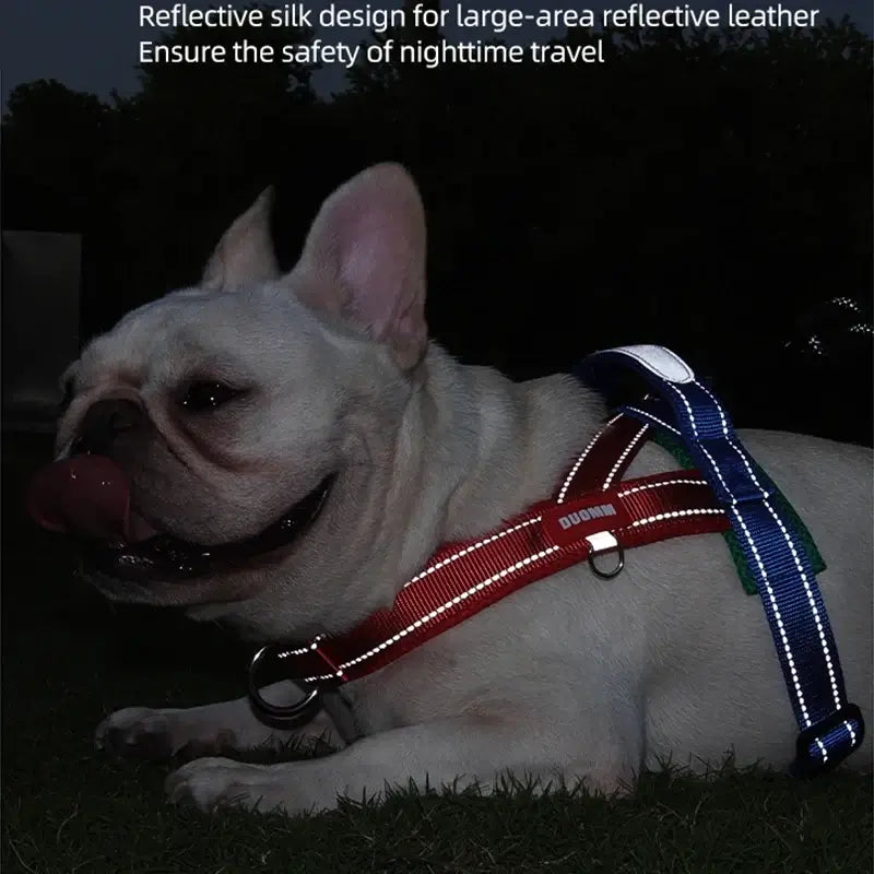 Reflective saddle type dog harness for nighttime walking, padded and adjustable for small, medium, and large dogs