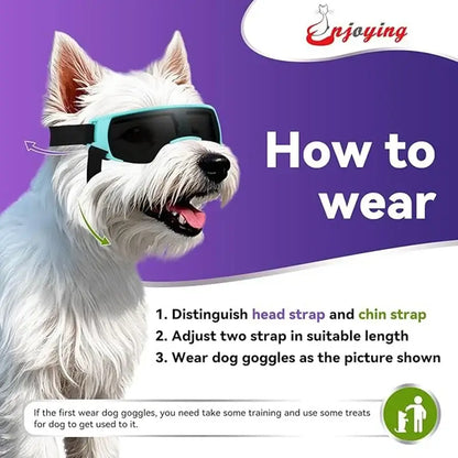 small breed dog goggles on white dog, adjustable windproof UV eye protection for outdoor use