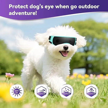 small breed dog goggles on a white dog for outdoor eye protection, anti-UV and windproof