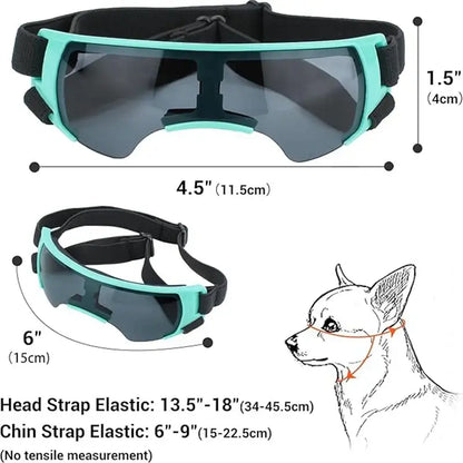Small breed dog goggles with UV protection, adjustable straps, and windproof eye coverage for outdoor dog safety