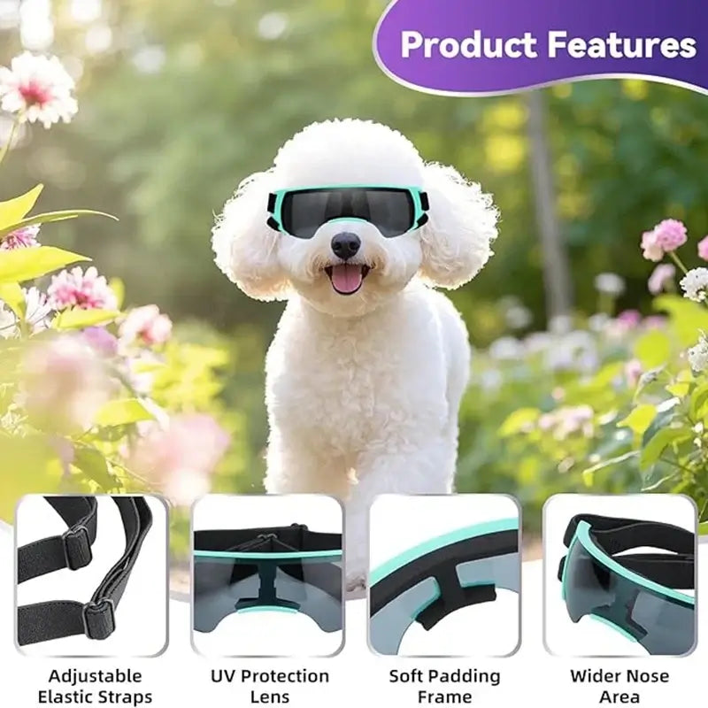 small breed dog goggles with UV protection, adjustable elastic straps, and soft padded frame for small dogs
