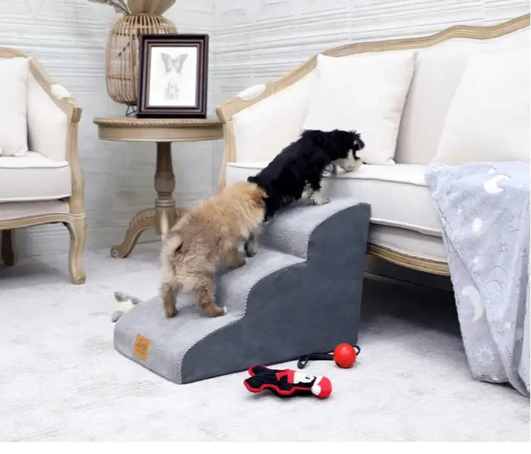 Two small dogs using anti-slip dog stairs for small dogs to climb onto a couch in a cozy living room setting.