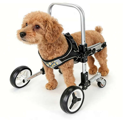 front-limb wheelchair for small dogs, black metal wheelchair for dogs weighing 4-15 lbs.