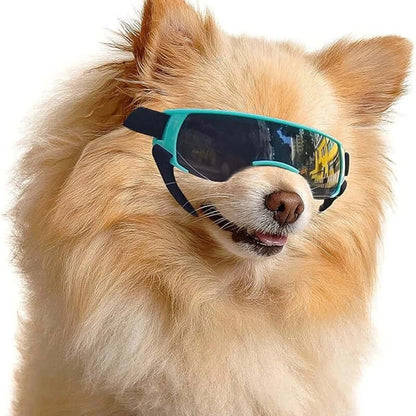 small breed dog goggles for a fluffy dog wearing UV-blocking sunglasses for outdoor eye protection