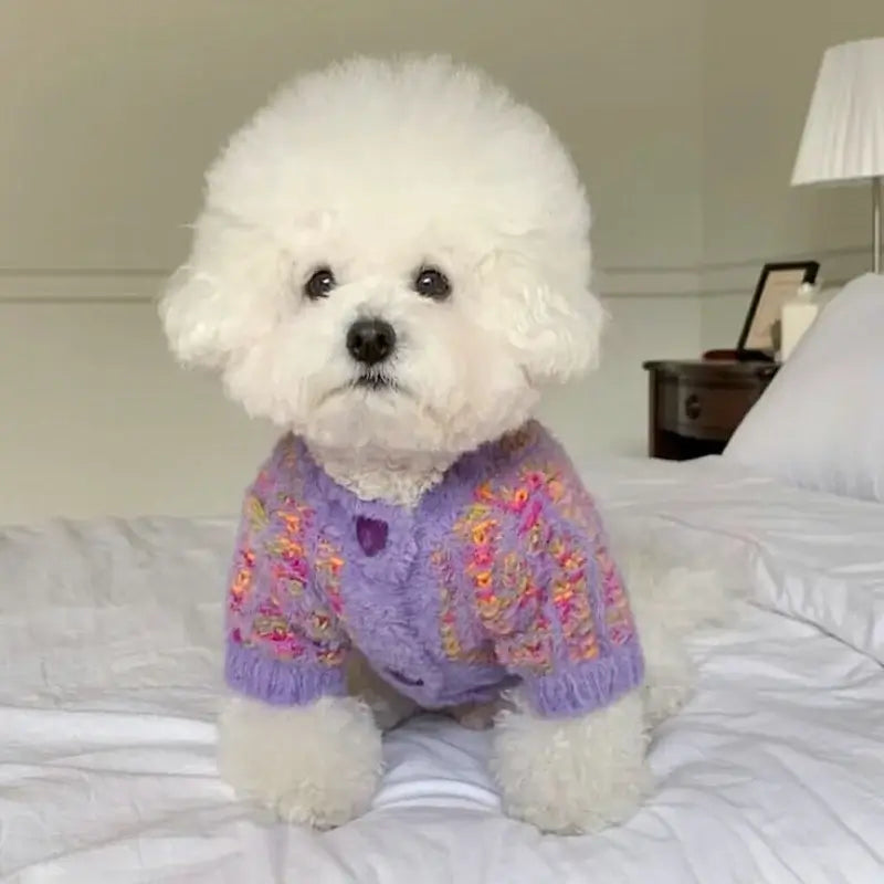 Pet Dog Sweaters for Small Dogs Winter Warm Dog Clothes Fashion Puppy Cardigan Sweater Cute Solid Cat Knitted Coat Pet Costumes