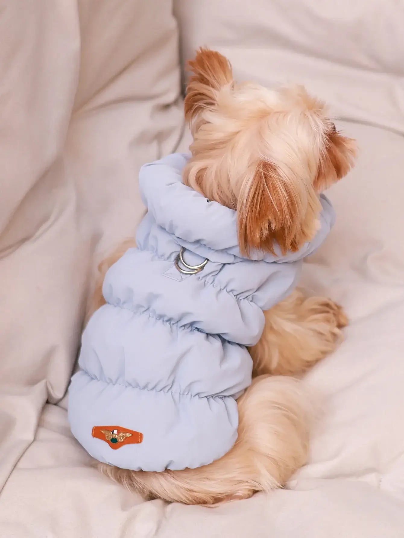 Blue dog winter coat for small to medium dogs, 3-layer warm polyester autumn/winter pet jacket for poodle and yorkie