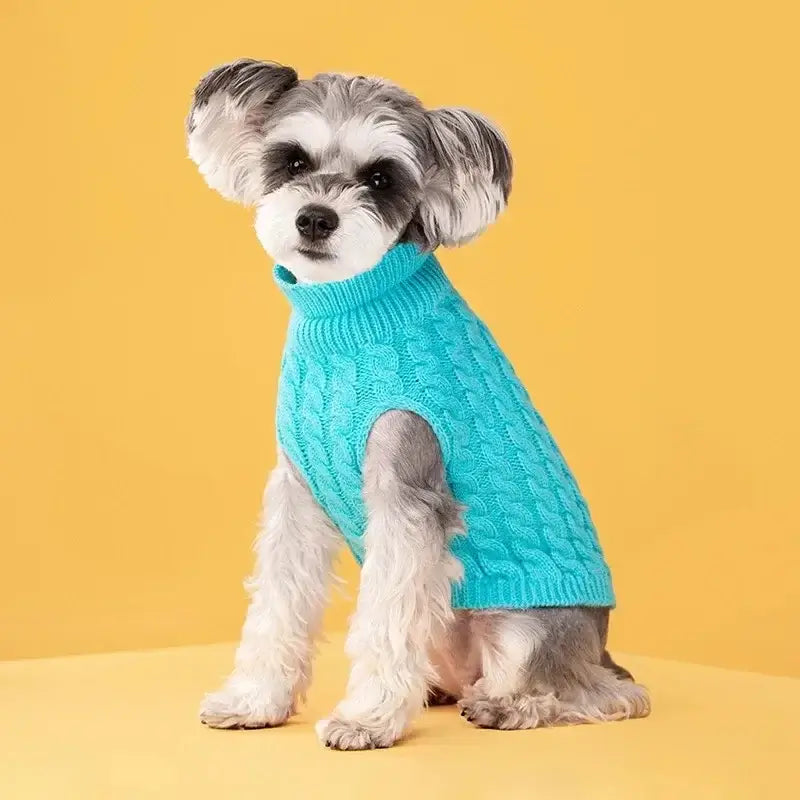 small dog winter sweater turquoise knitted turtleneck for Chihuahua, Yorkie, and small medium dogs