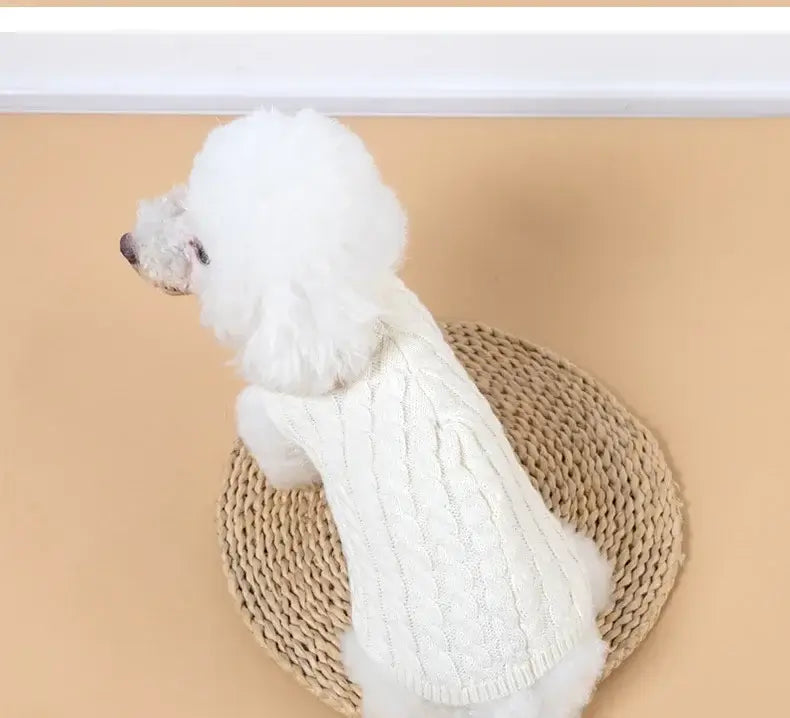 small dog winter sweater for Chihuahua and Yorkie, white knitted pet turtleneck coat for small and medium dogs